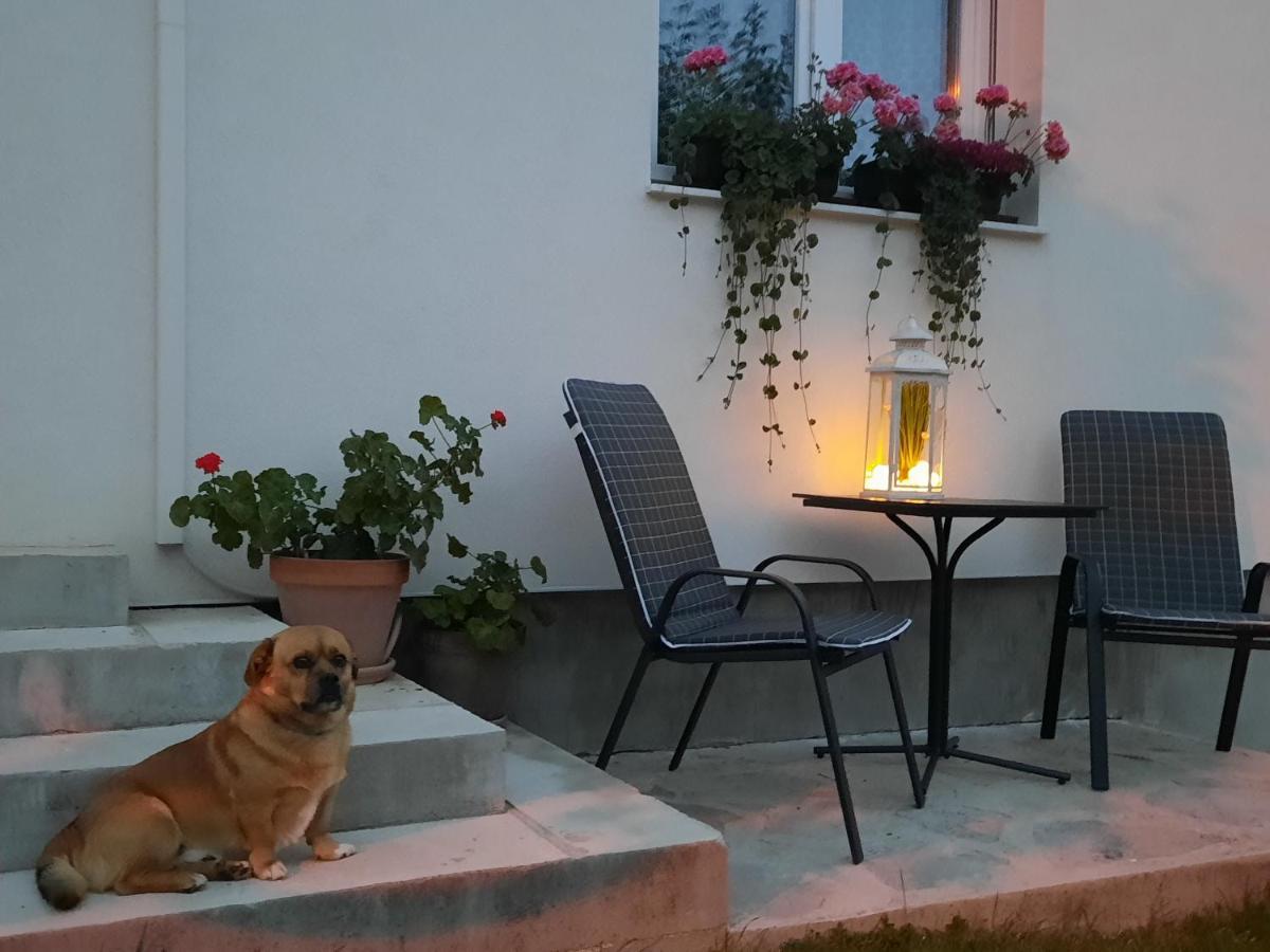 Studio Apartman Marta Korenica Eksteriør bilde