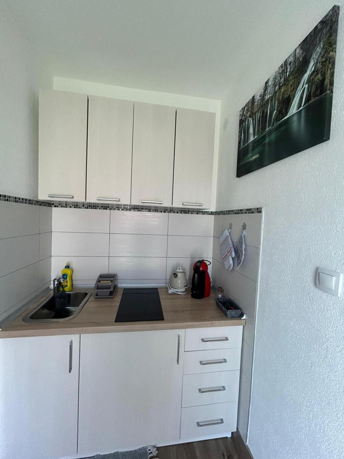 Studio Apartman Marta Korenica Eksteriør bilde